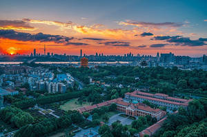 日落時分的城市天際線，橙色雲彩和前景的綠樹。 — 日落大道 壁紙