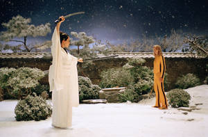 夜間雪地花園中的兩位武術家，一位白袍持劍，另一位黃色運動服持棍。