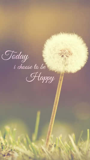 帶有訊息 Today i choose to be Happy 的蒲公英