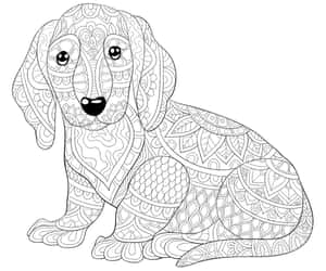 一隻身上有精細曼陀羅圖案的臘腸犬。
