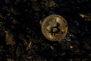 黑暗岩石表面上的金色比特幣硬幣