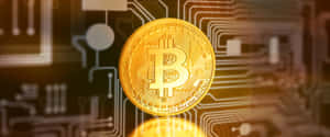 金色比特幣硬幣漂浮在發光的電路板上。