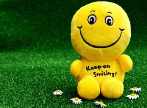 黃色毛絨笑臉玩具，帶有「Keep on Smiling!」文字，坐在草地上有雛菊。