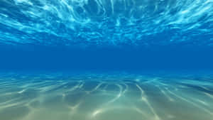 海底水下視圖，帶有陽光圖案和藍色海水。 — 水下 壁紙