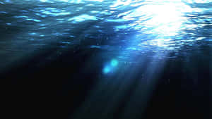陽光穿過海面，照亮帶有浮游粒子的深色海水。 — 水下 壁紙