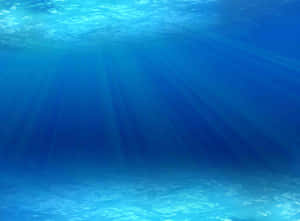 陽光穿過海水照射在沙質海底上。