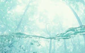 水下森林場景，氣泡向陽光照耀的樹木上升。