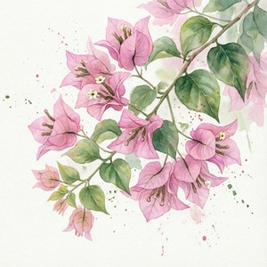 粉紅色的三角梅花朵和綠葉以水彩繪製，淺色背景上有飛濺顏料