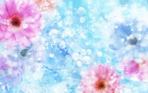 水彩畫 — 水彩 壁紙