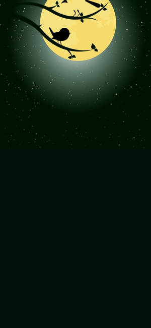 一隻鳥在黑暗的星空下，棲息在明亮的月亮下的樹枝上。