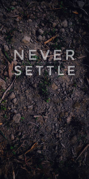 勵志文字 never settle 在帶有樹枝和嫩芽的深色泥土上。