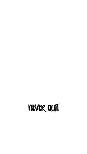 純白色背景上以粗體黑色手寫字體呈現的勵志名言「never quit」。