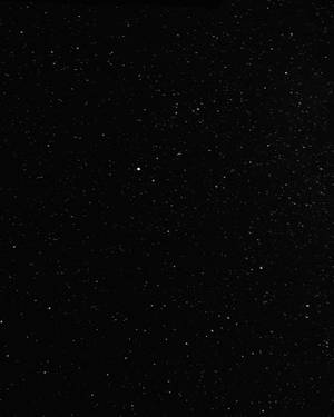 繁星點點的夜空，一顆明亮的星星在無數星星中閃耀。