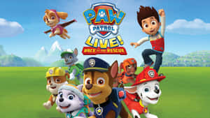 Paw Patrol 團隊在山脈背景下戶外擺姿勢。
