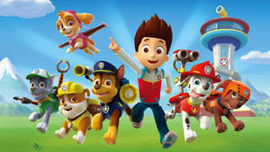 Paw Patrol 團隊在外奔跑和飛行，背景有塔和山。