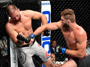 兩名戴著MMA手套的男性拳手在八角籠內互相出拳。