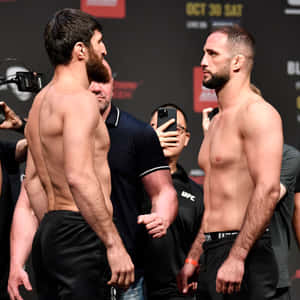 兩位赤裸上身的MMA拳手在UFC稱重活動中互相凝視，周圍有攝影師。