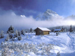 在晴朗的藍天下，被常青樹和霧氣環繞的雪覆蓋的山間小屋。