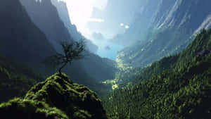 懸崖上的孤樹，俯瞰山谷河流和山脈，日出時分 — 超高清 GIF 壁紙