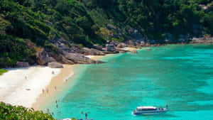 熱帶海灘，有碧綠的海水和人們在海灘上享受。
