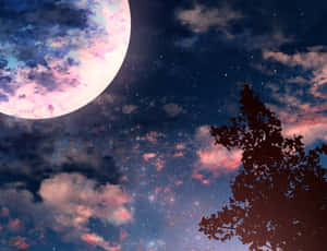 樹木剪影映襯著繁星點點的夜空，一輪發光的月亮和色彩斑斕的雲層。