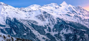 黃昏時分的雪山山脈，下方有松樹林