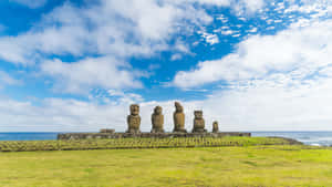 五座巨大的石像摩艾在草地上，面向海洋，天空多雲。 — 雕塑 壁紙