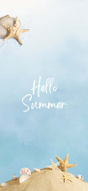 沙灘上的海星和貝殼，背景是藍天，帶有「Hello Summer」文字。 — 沙灘 壁紙