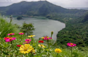 色彩繽紛的野花框住了寧靜的火山湖景觀，周圍環繞著鬱鬱蔥蔥的綠色山丘。