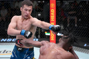 兩名戴著MMA手套的男拳手在八角籠內互相出拳。