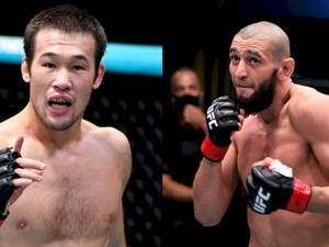 兩名男性MMA拳手在八角籠內擺出戰鬥姿勢。