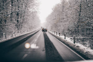 汽車在積雪的森林道路上，光禿樹木與霧濛濛的冬日氛圍。