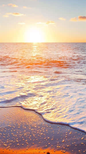 夕陽海浪沖刷濕沙，金色光線在水面反射。