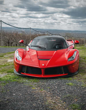 陰天下，葡萄園附近的碎石上停著一輛紅色法拉利LaFerrari。
