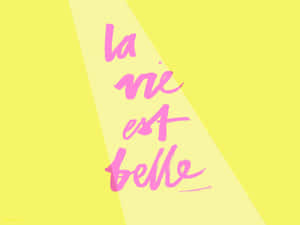 黃色背景上光束中的粉紅色草書文字 la vie est belle。