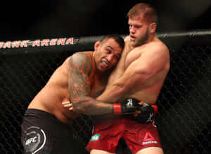 兩名男性MMA拳手在八角籠內陷入纏鬥。 — 搏擊會 GIF 壁紙