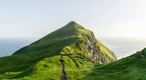 草山頂峰，小徑俯瞰海洋，晴朗天氣