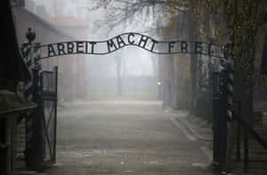 霧氣籠罩的奧斯威辛大門與ARBEIT MACHT FREI標誌