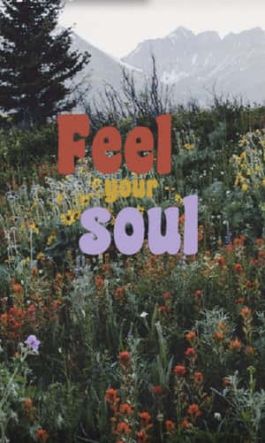 山間草地上的野花，文字寫著「Feel your soul」。