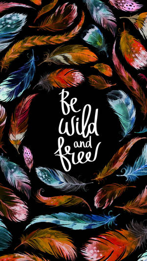 彩色羽毛在黑色背景上框住「Be Wild and Free」這句話。