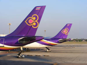 兩架泰國航空飛機白天停泊在機場停機坪上。