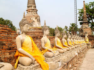 古代寺廟遺址中一排穿著黃色袈裟的佛像。
