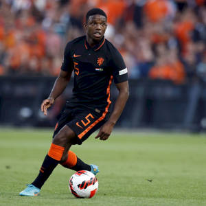荷蘭足球員在草地上運球，背景有球迷。 — 足球 壁紙