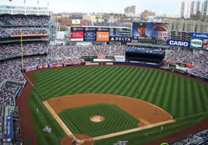 陽光明媚的日子裡，洋基球場（Yankee Stadium）擠滿觀看棒球比賽的球迷。 — 棒球 壁紙
