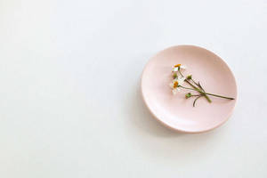 一個粉紅色碟子上有白色小雛菊，放在白色表面上。