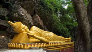 森林寺廟中的金色臥佛像