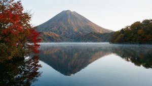 山和秋樹倒映在平靜的霧湖中。