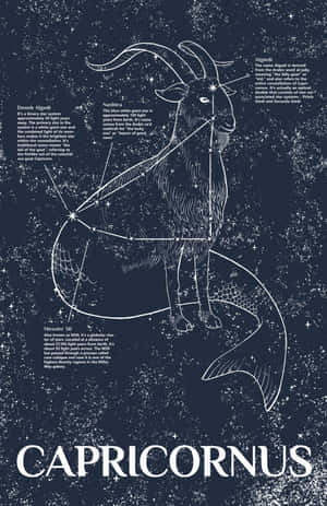 摩羯座星座插圖，在繁星背景上帶有標籤的星星和描述性文字。