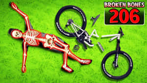 紅色骷髏在綠色草地上，旁邊是破碎的單車，上面有「Broken Bones 206」字樣。