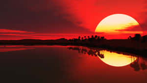 水面上的紅色夕陽、棕櫚樹剪影和天空倒影。